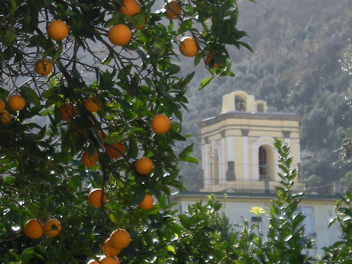 Casa De Angelis Orange & Blue Lägenhet Sant'Agnello Exteriör bild