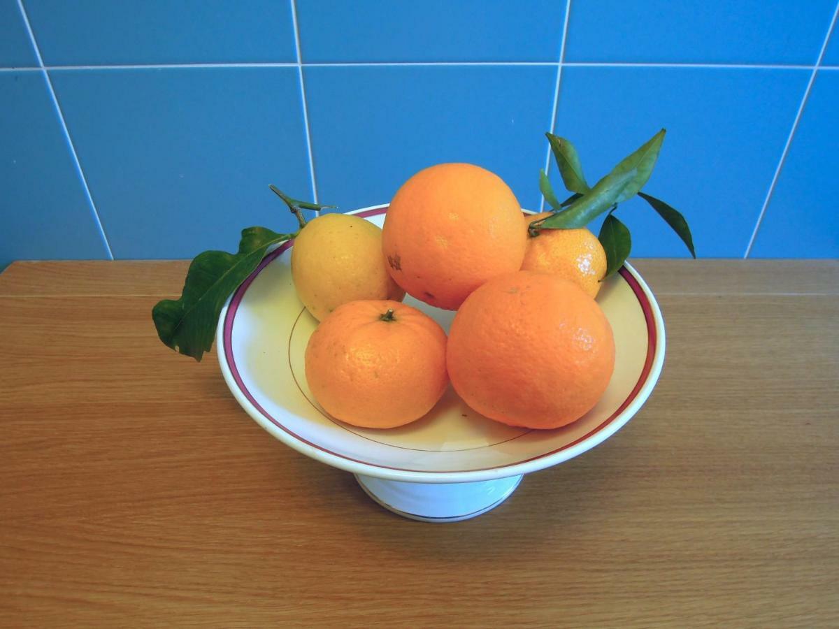 Casa De Angelis Orange & Blue Lägenhet Sant'Agnello Exteriör bild